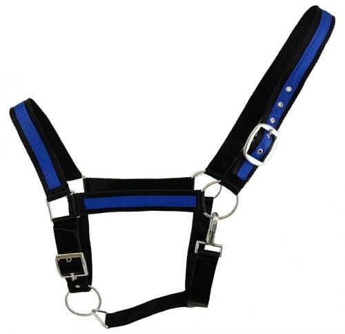 Black Draft horse size nylon halter with accent color #2